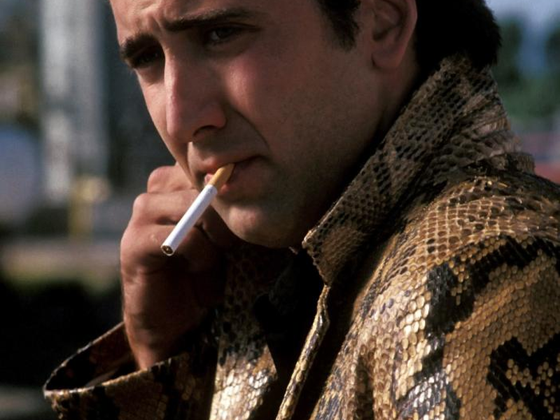 Foto 53 de Coração Selvagem