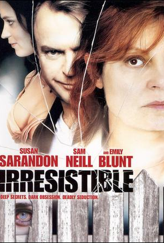 Poster 1 de Filme Identidade Roubada (2006)