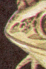 Beauty & the Beasts (Beauty & the Beasts)