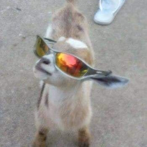 Foto de perfil de Hugo