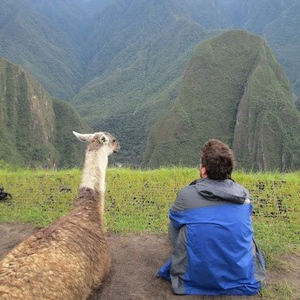 Foto de perfil de Vitor Amaral Ebert