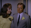 The Master's Touch Affair