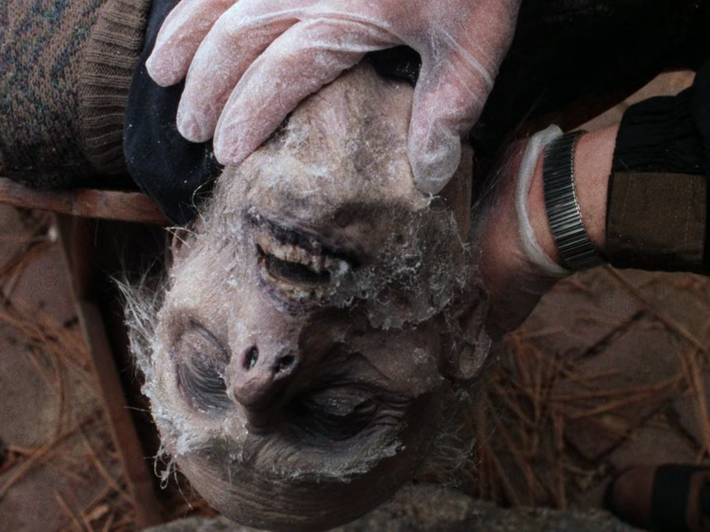 Foto 6 de Jack Frost