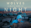 The Wolves Always Come at Night
