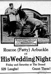 His Wedding Night (His Wedding Night)