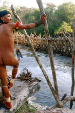 Yaõkwá, um patrimônio ameaçado (Yaõkwá, um patrimônio ameaçado)