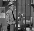 The Inspector