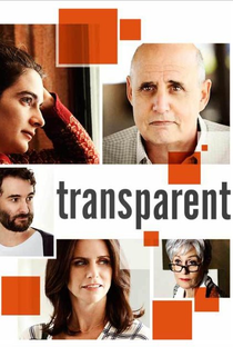 Transparent (1ª Temporada) - Poster / Capa / Cartaz - Oficial 2