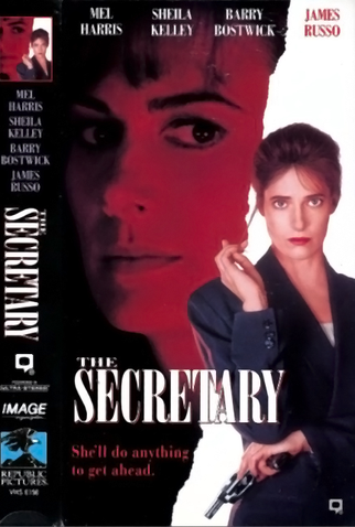 Poster 1 de Filme Secretária Assassina (1995)