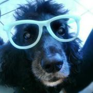 Foto de perfil de Milena Aguiar