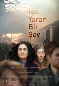 Something Useful (Ise yarar bir sey)