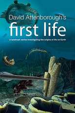 O Princípio da Vida (First Life)