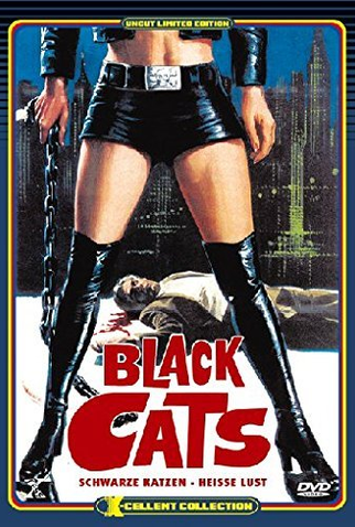 Poster 3 de Filme New York Violenta (1973)