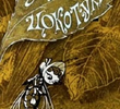 The Boldly Buzzing Fly