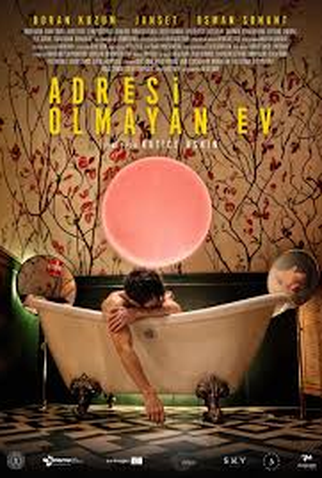 Poster 2 de Filme The House with No Address (2024)