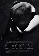 Blackfish: Fúria Animal