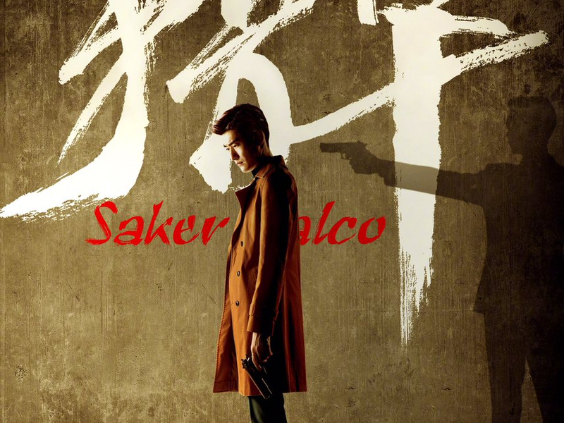 Foto 1 de Saker Falco