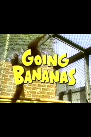  de Série Miss Banana (1984)
