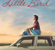Little Bird (1ª Temporada)