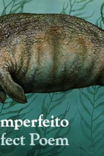 Poster de Filme O Poema Imperfeito (2018)