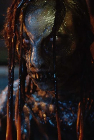 Poster 1 de Curta Marco Polo (2016)