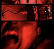 Black Lizard Tales