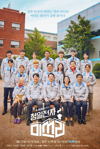 Poster 1 de Série Miss Lee (2019)