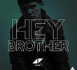 Avicci: Hey Brother