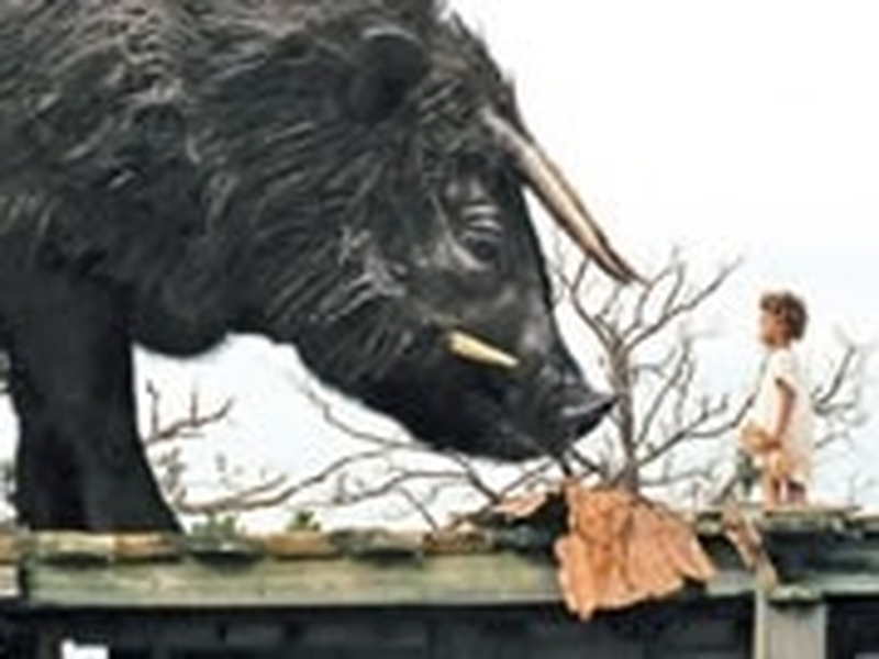 Foto 1 de Indomável Sonhadora