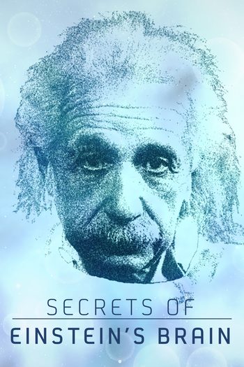 Poster de Filme Segredos do Cérebro de Einstein (2015)