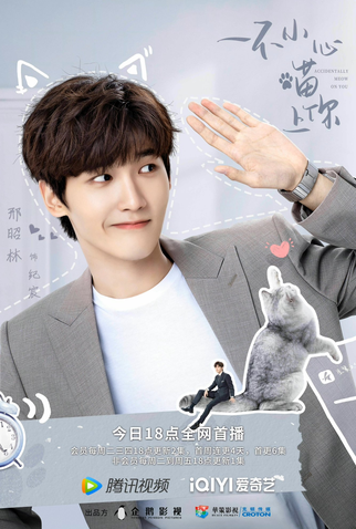 Poster 4 de Série Accidentally Meow On You (2022)