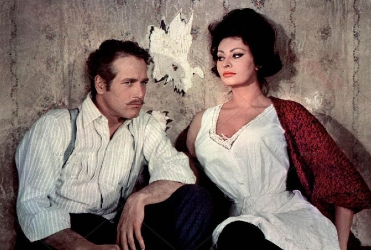 Paul Newman - Foto 4