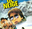 Ski Fever