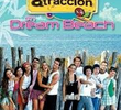 Atracción x4