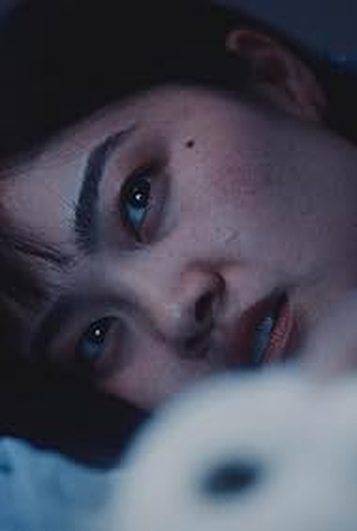 Poster 2 de Filme Bunnylovr (2025)