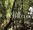 A Year in the Clouds