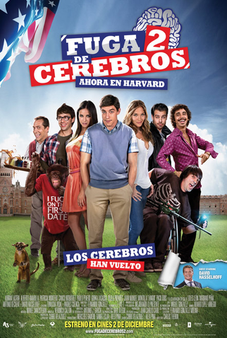 Poster 1 de Filme A Garota dos Sonhos 2 (2011)
