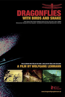 Dragonflies with Birds and Snake - Poster / Capa / Cartaz - Oficial 1