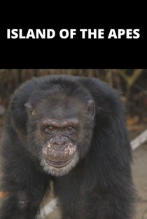 Planeta dos Macacos - O Confronto Apresenta - Island of The Apes - Poster / Capa / Cartaz - Oficial 1