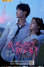 Never Too Late (我迟到了那么多年)