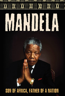 Mandela - Um Grito de Vitória - Poster / Capa / Cartaz - Oficial 3