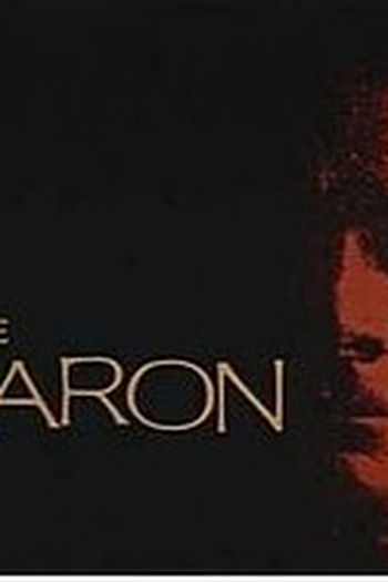 Poster de Série O Barão (1965)