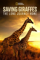A Arca das Girafas (Saving Giraffes: The Long Journey Home)