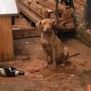 Foto de perfil de Marilson Sp