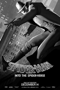 Homem-Aranha: No Aranhaverso - Poster / Capa / Cartaz - Oficial 5