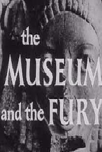 The Museum and the Fury - Poster / Capa / Cartaz - Oficial 1