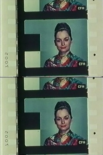 Poster de Curta Standard Gauge (1984)