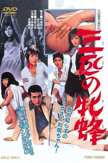 Poster de Filme Three Pretty Devils (1970)