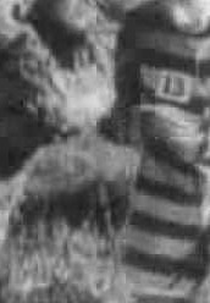 O Hóspede  (The Star Boarder )