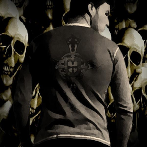 Foto de perfil de Paulo Martinho